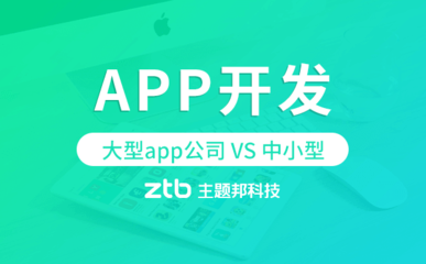 APP开发选择大型app开发公司还是中小型公司?